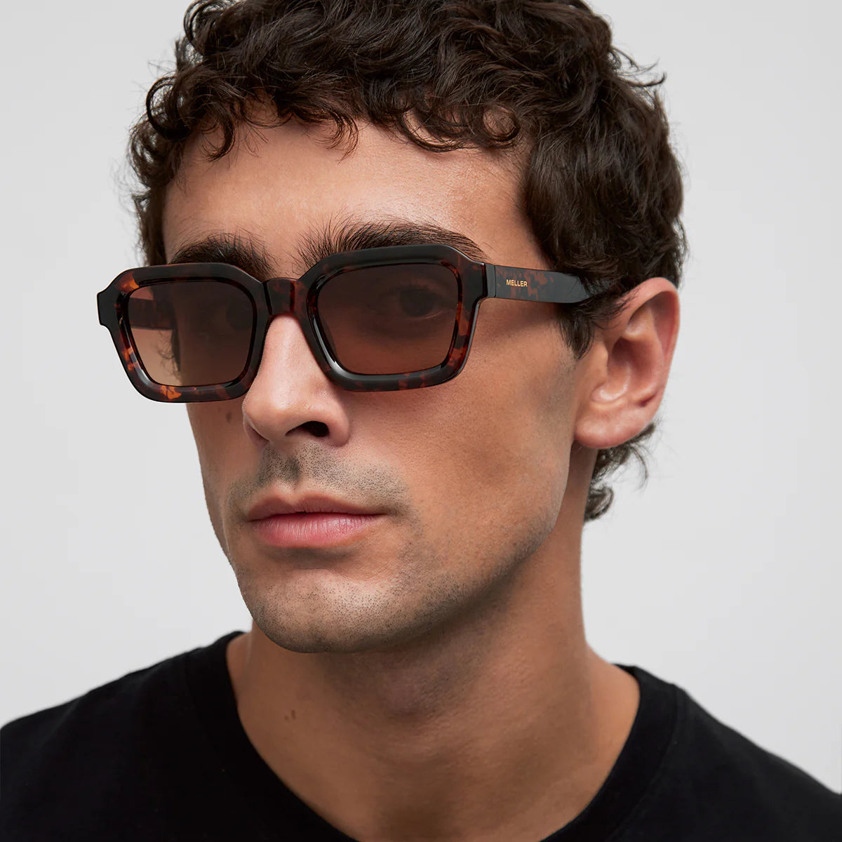 NAYAH - TIGRIS BROWN